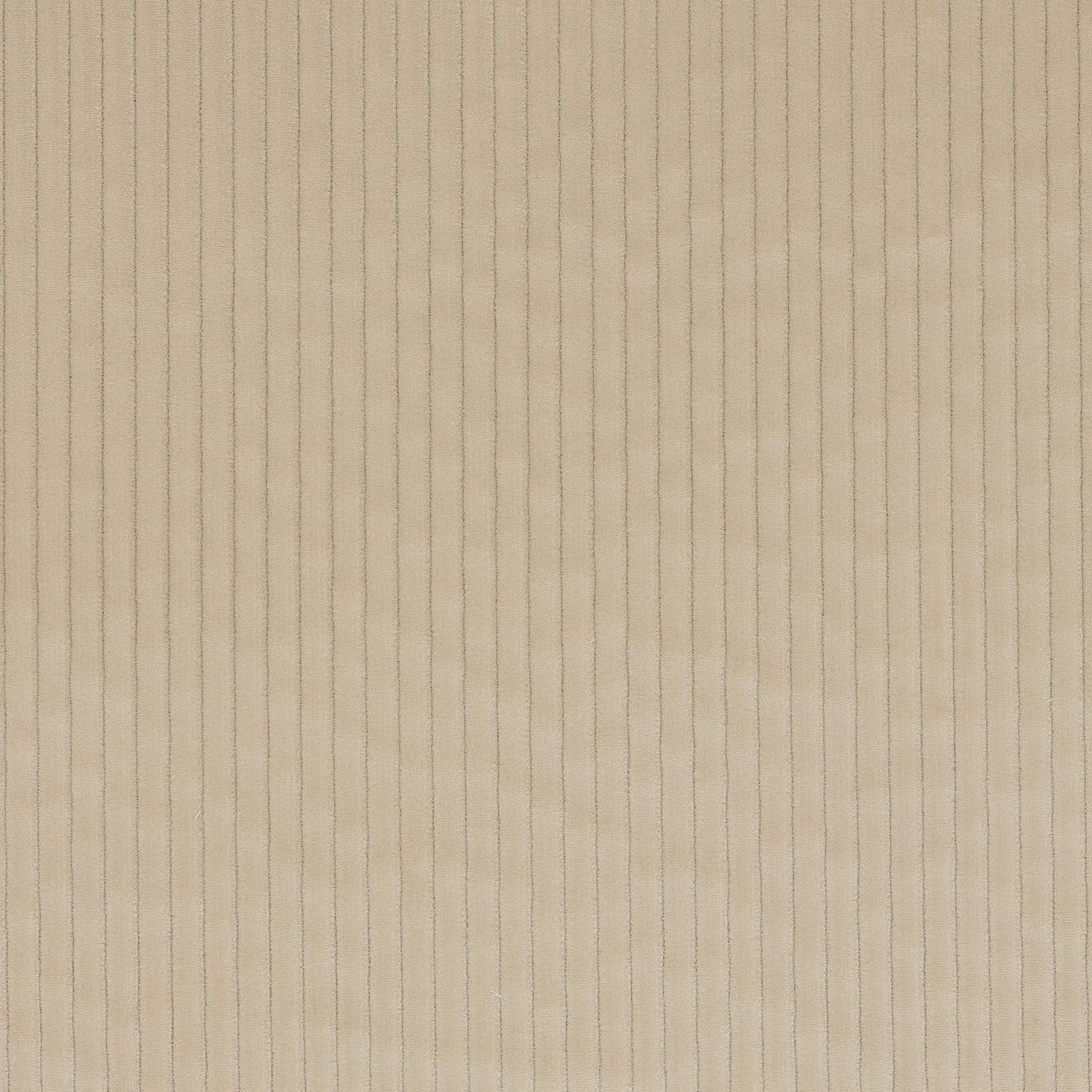 Roma Fabric - Grege - Manuel Canovas - M4058-02 - Premier Wallcovering