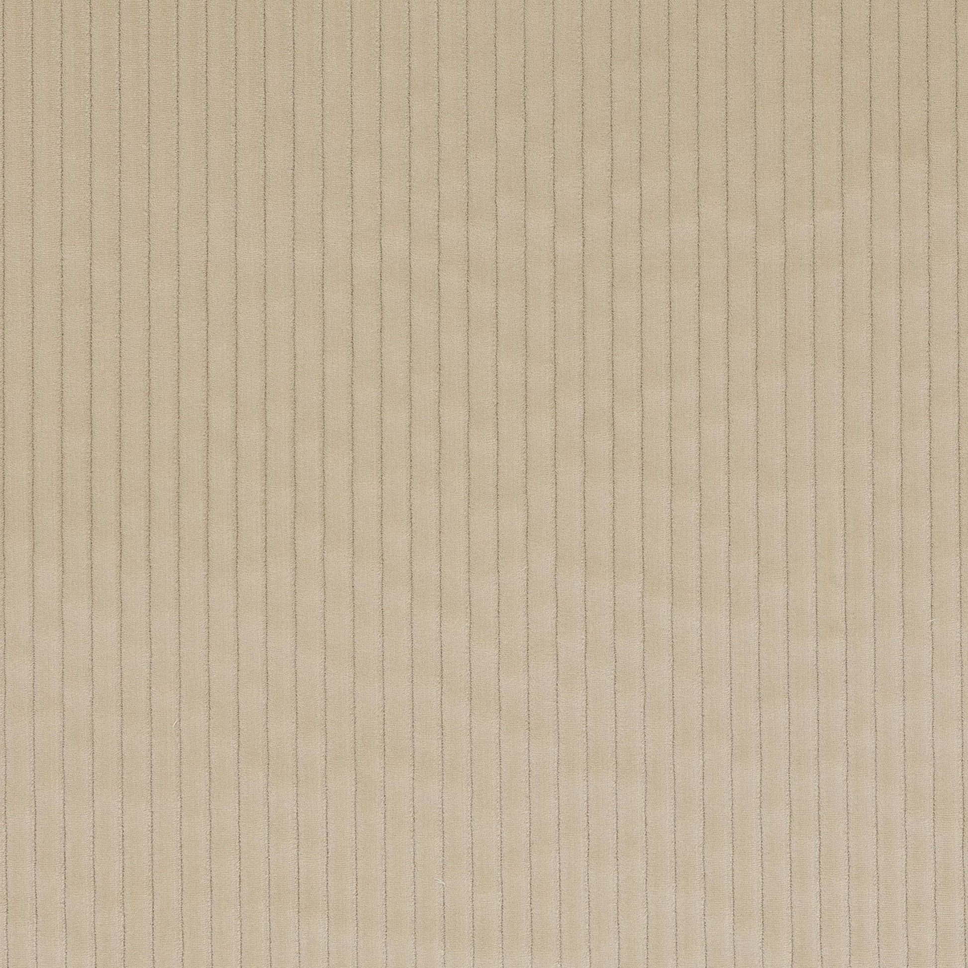 Roma Fabric - Grege - Manuel Canovas - M4058-02 - Premier Wallcovering