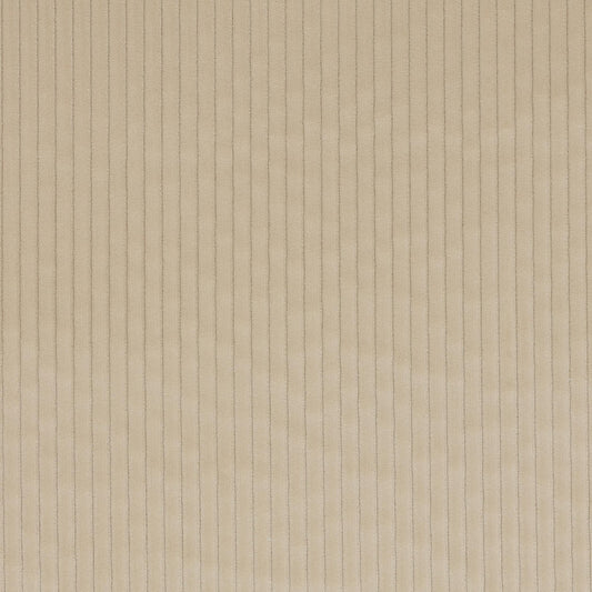 Roma Fabric - Grege - Manuel Canovas - M4058-02 - Premier Wallcovering