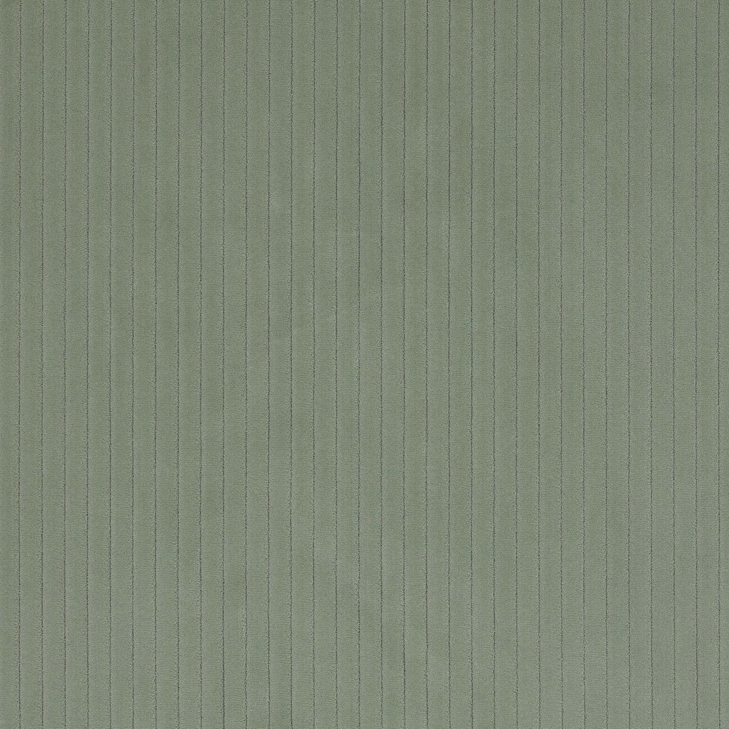 Roma Fabric - Sauge - Manuel Canovas - M4058-05 - Premier Wallcovering