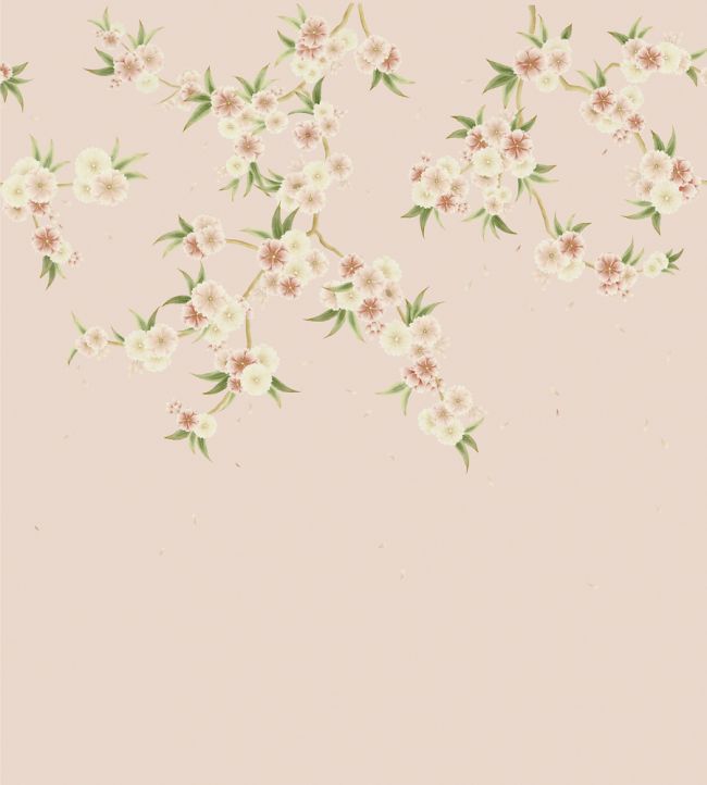 Rosa Wallpaper - Blush Pearl/Peony/Meadow - HDHW112887 - Harlequin - Premier Wallcovering