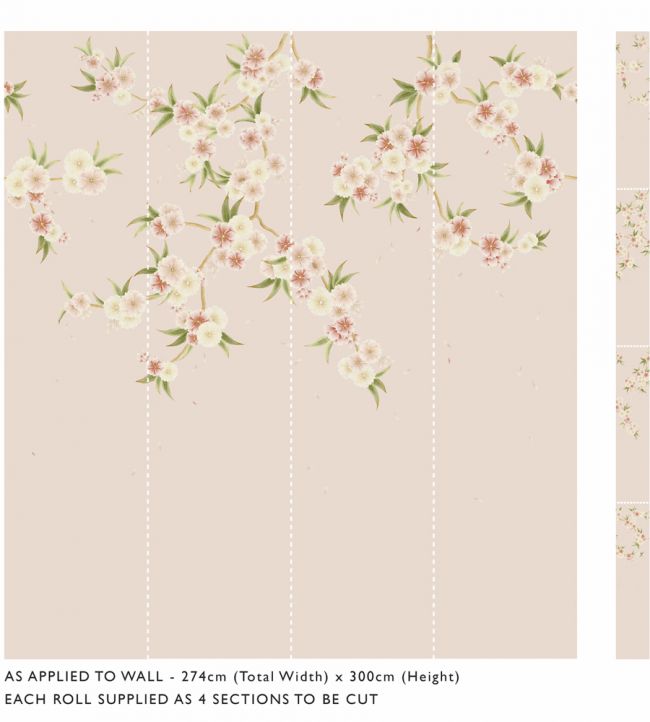 Rosa Wallpaper - Blush Pearl/Peony/Meadow - HDHW112887 - Harlequin - Premier Wallcovering