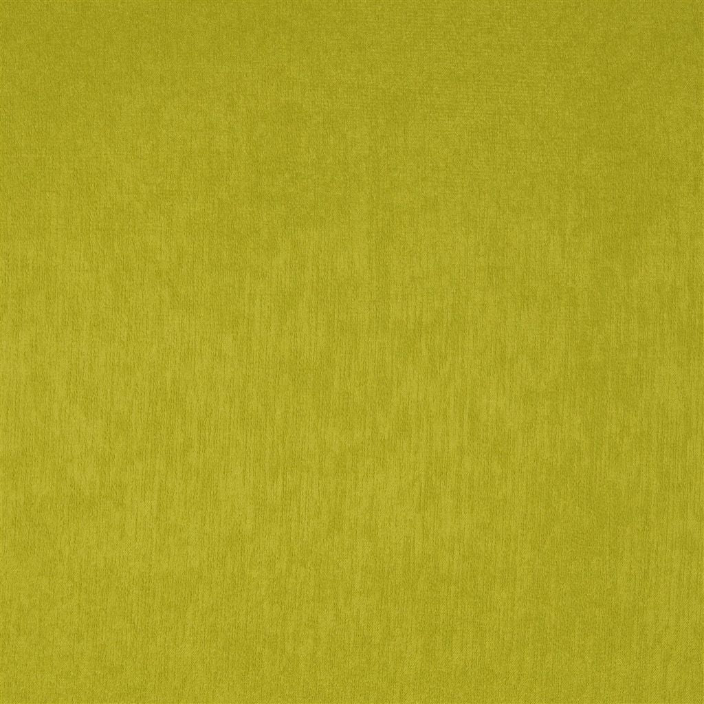 Roseau Fabric - Chartreuse - Christian Lacroix - FCL2269/23 - Premier Wallcovering