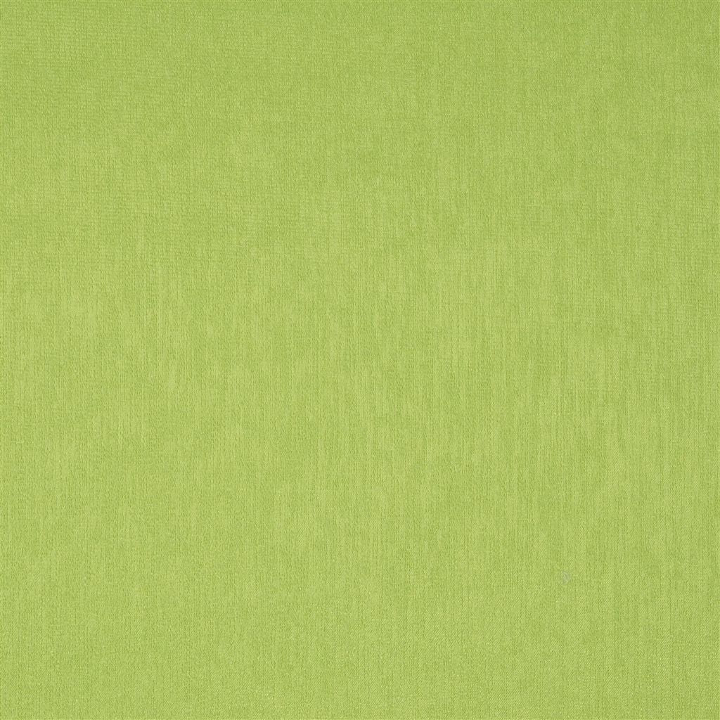 Roseau Fabric - Absinthe - Christian Lacroix - FCL2269/22 - Premier Wallcovering