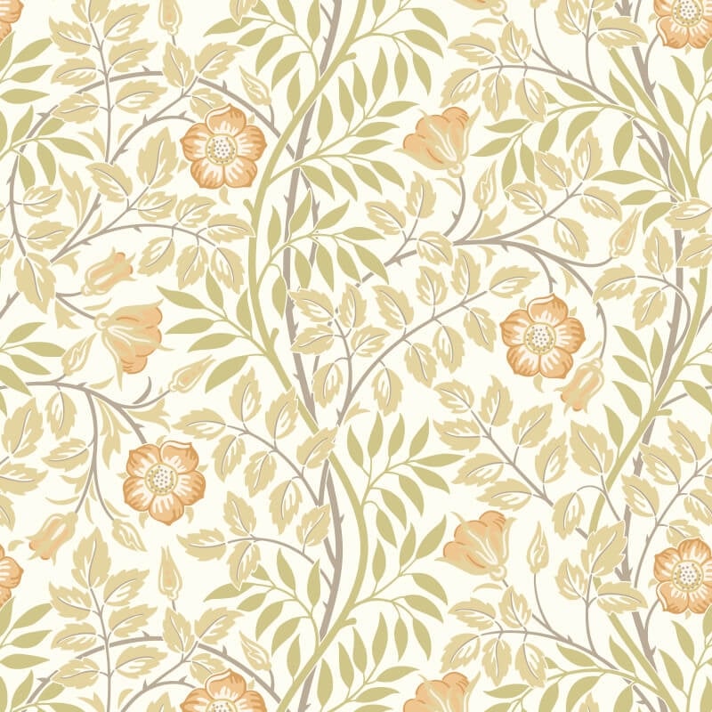 Rosehip Trail Wallpaper - Soft Amber - Hoopla Walls - HWA1087W - Premier Wallcovering