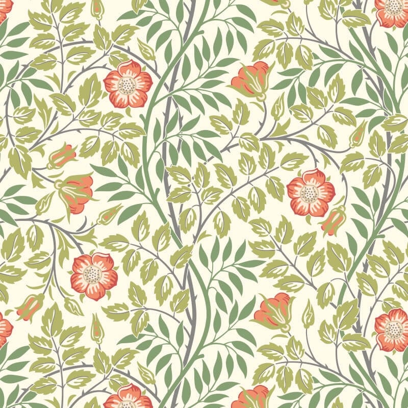 Rosehip Trail Wallpaper - Coral Pink - Hoopla Walls - HWA1098W - Premier Wallcovering