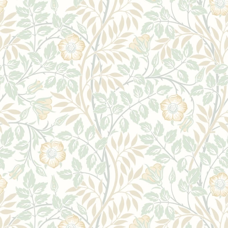 Rosehip Trail Wallpaper - Soft Mint - Hoopla Walls - HWA1090W - Premier Wallcovering