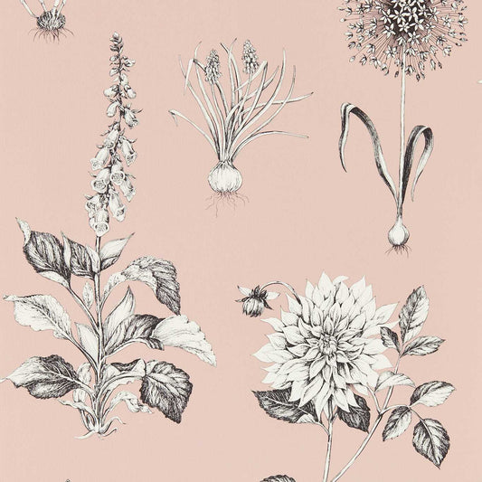 Roseraie Wallpaper - Blush - Clarke & Clarke - W0197/01 - Premier Wallcovering