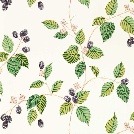 Rubus Wallpaper - Blackberry - DABW217227 - Sanderson - Premier Wallcovering