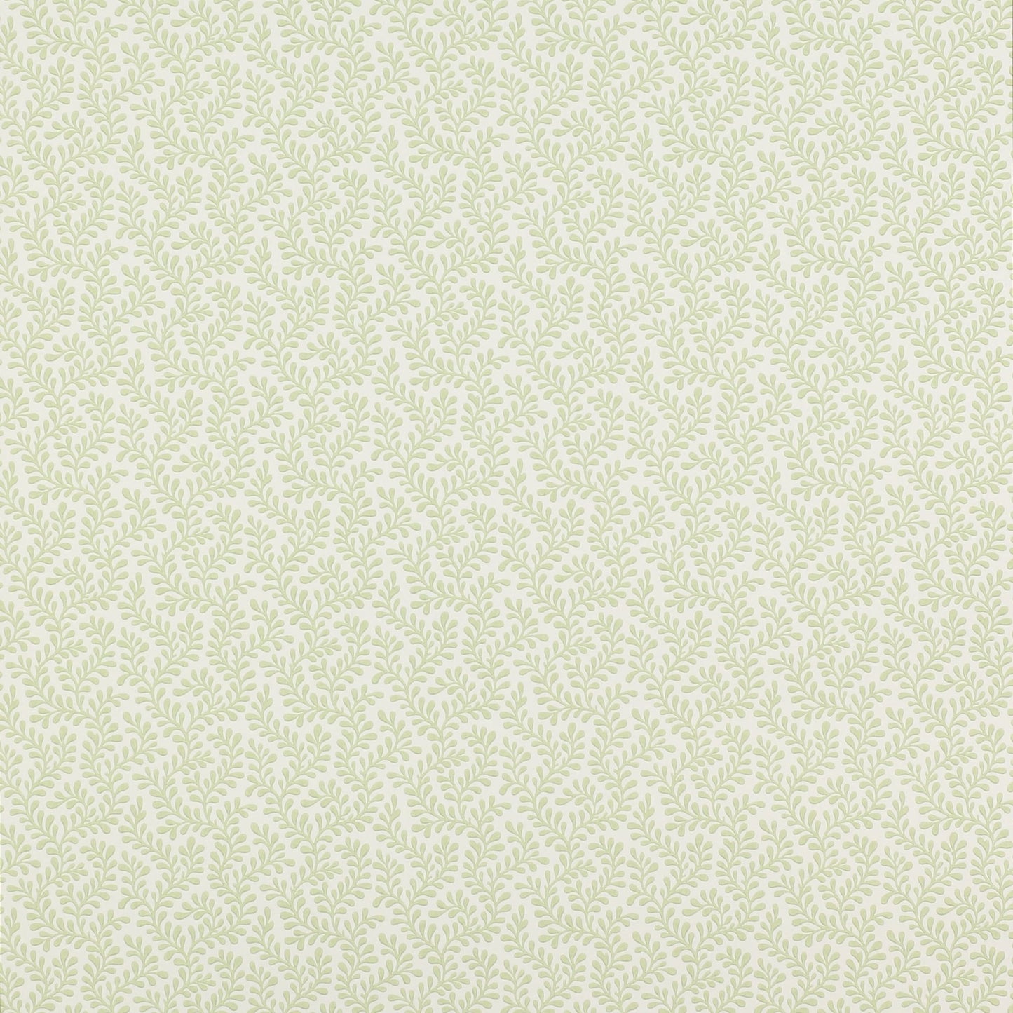 Rushmere Wallpaper - Leaf - Colefax & Fowler - 07985/04 - Premier Wallcovering