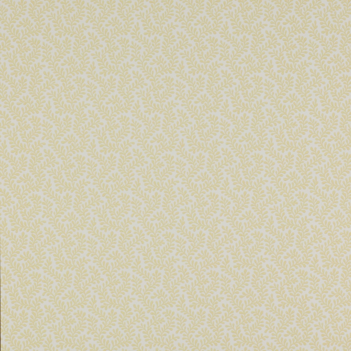 Rushmere Wallpaper - Yellow - Colefax & Fowler - 07985/01 - Premier Wallcovering