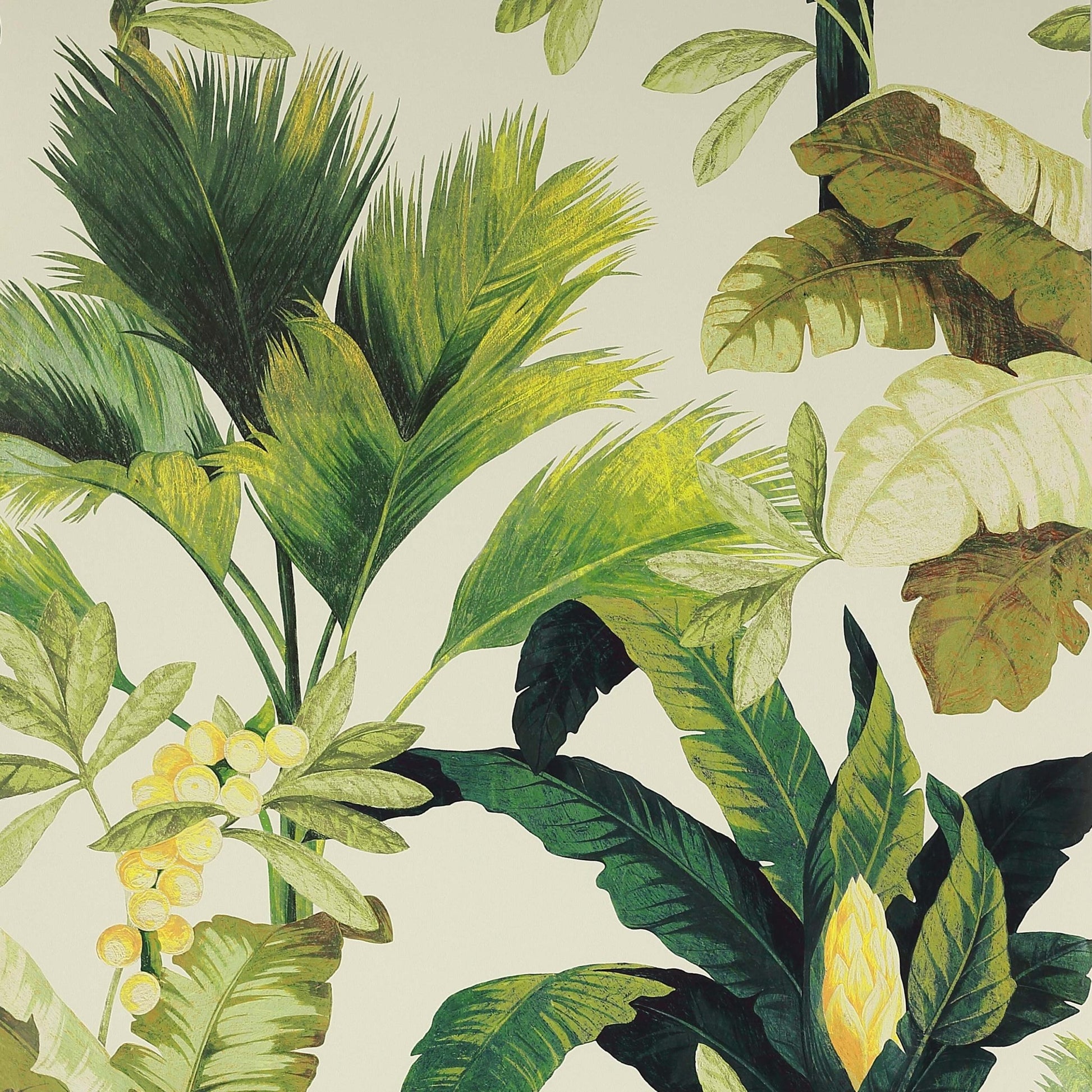 Salengro Wallpaper - Kaki - Manuel Canovas - 03095-04 - Premier Wallcovering