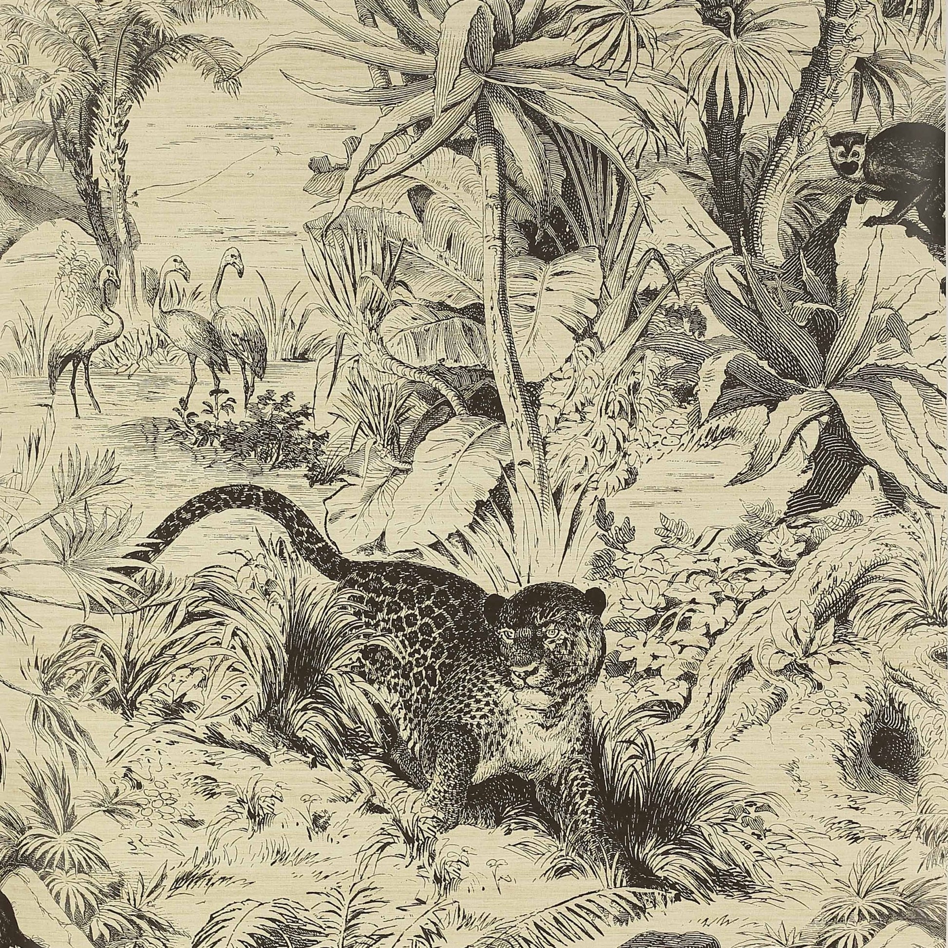 Salvator Wallpaper - Noir - Manuel Canovas - 03093-01 - Premier Wallcovering