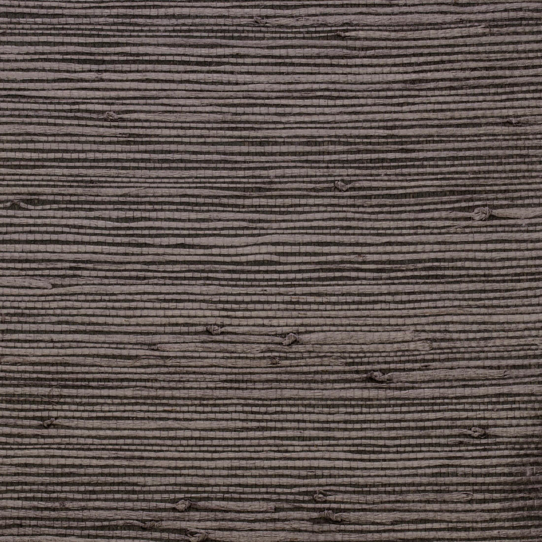 Samburu Wallpaper - Flint - Andrew Martin - ECSAFL - Premier Wallcovering