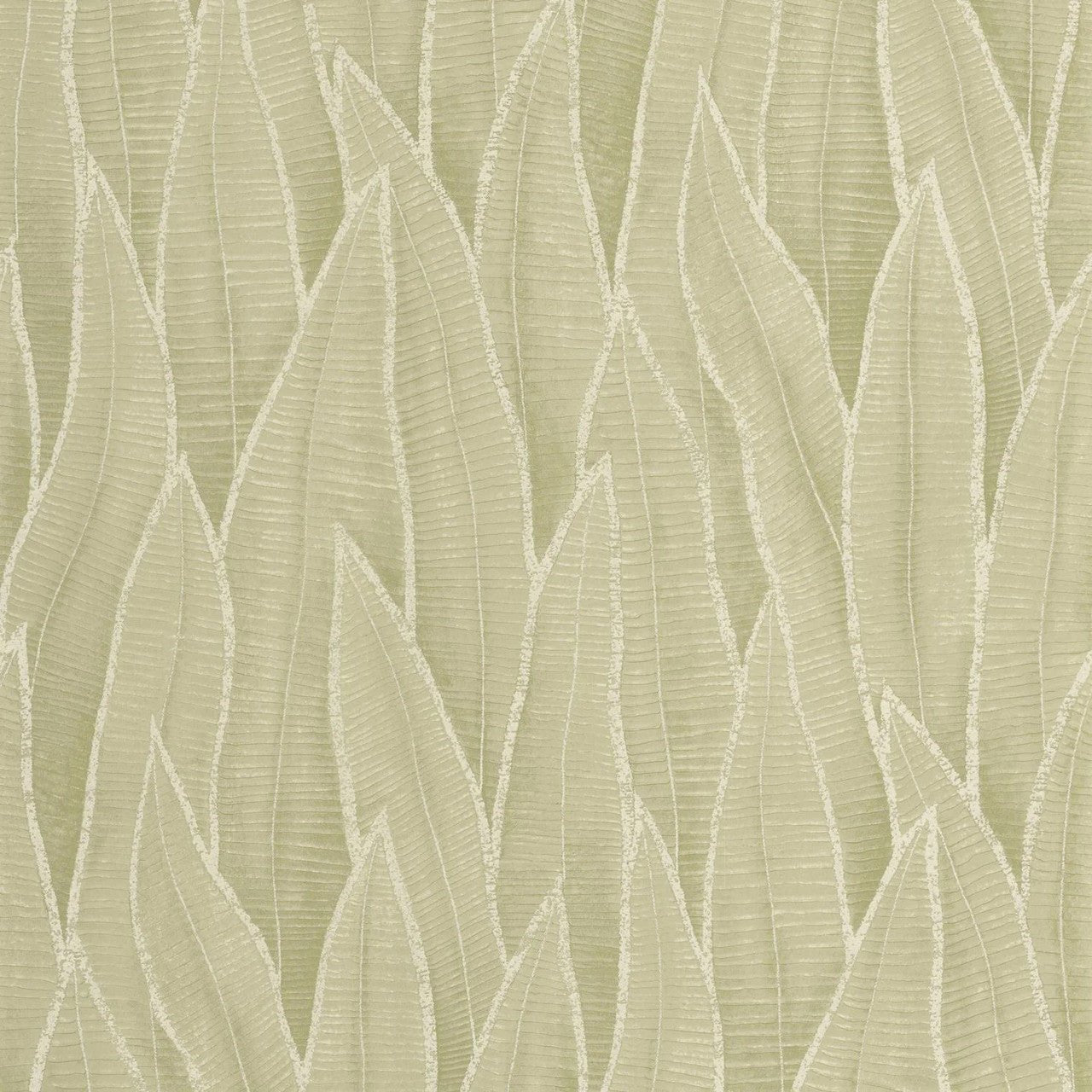 Sansevieria Rio Wallpaper - Argile Vert - Casadeco - 201837260 - Premier Wallcovering
