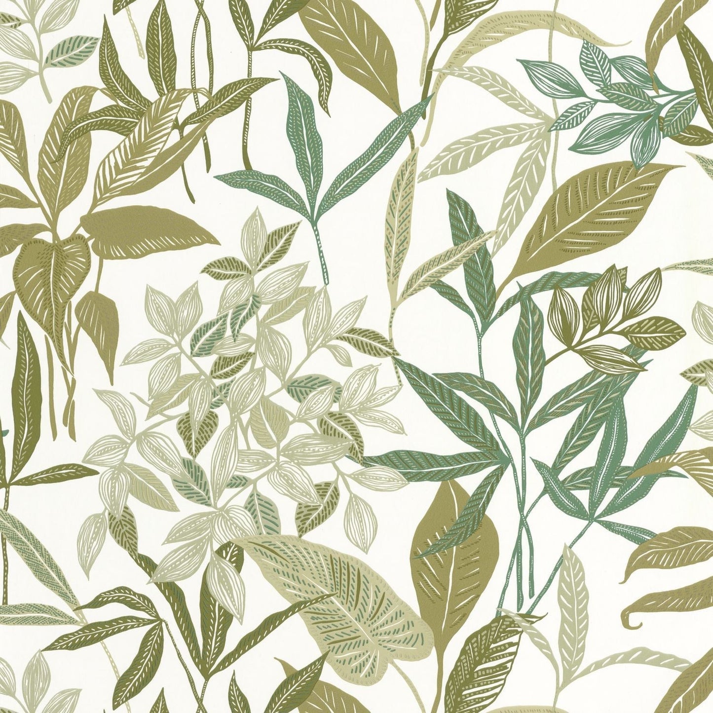 Santiago Wallpaper - Mousse - Caselio - 103850223 - Premier Wallcovering