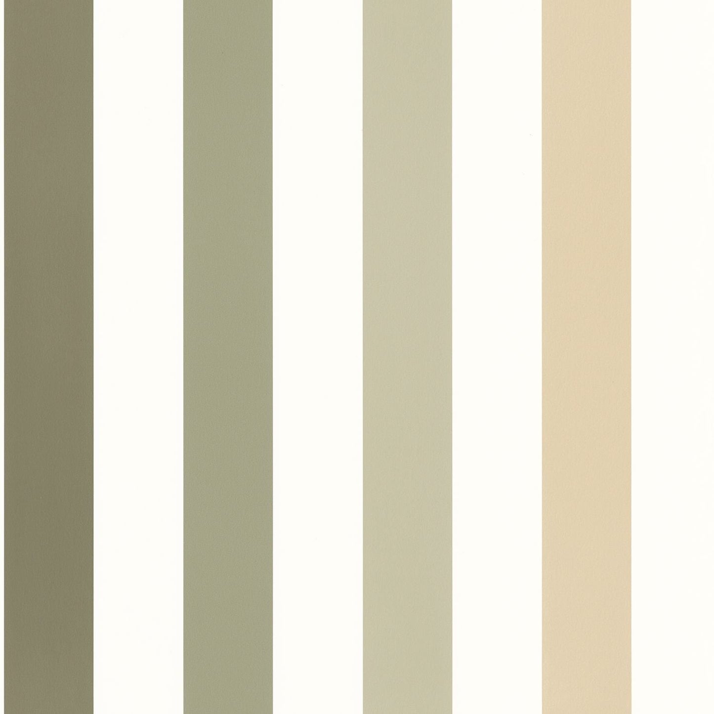 Se Cacher Wallpaper - Kaki - Caselio - 103587370 - Premier Wallcovering