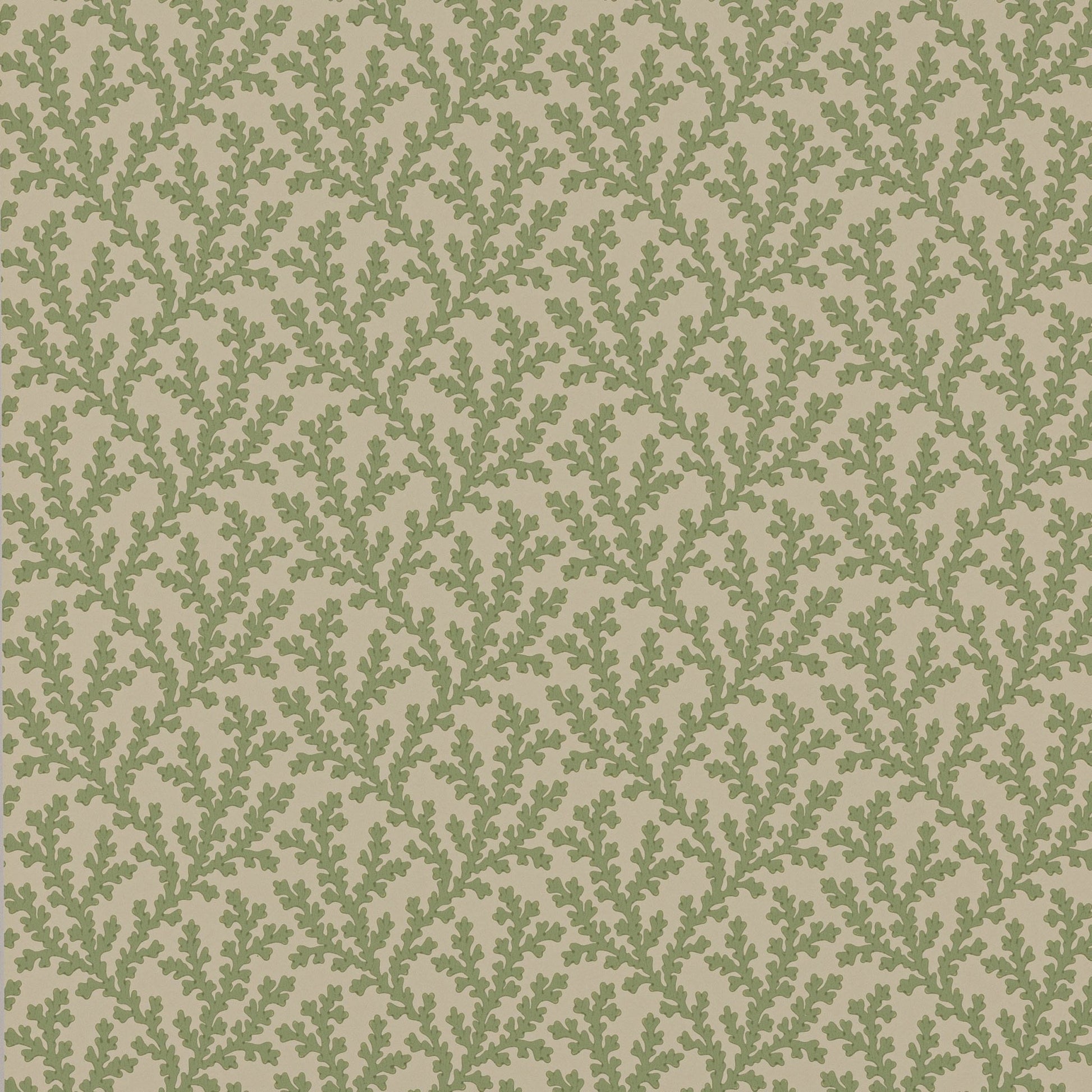 Sea Coral Wallpaper - Green - Colefax & Fowler - W7020 - 01 - Premier Wallcovering