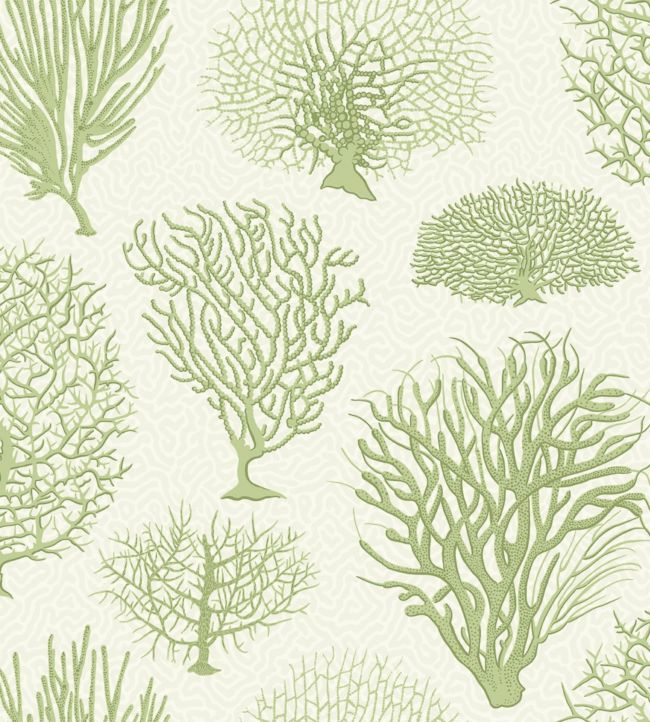 Seafern Wallpaper - Charcoal & Metallic Gold on Emerald - 107/2007 - Cole & Son - Premier Wallcovering