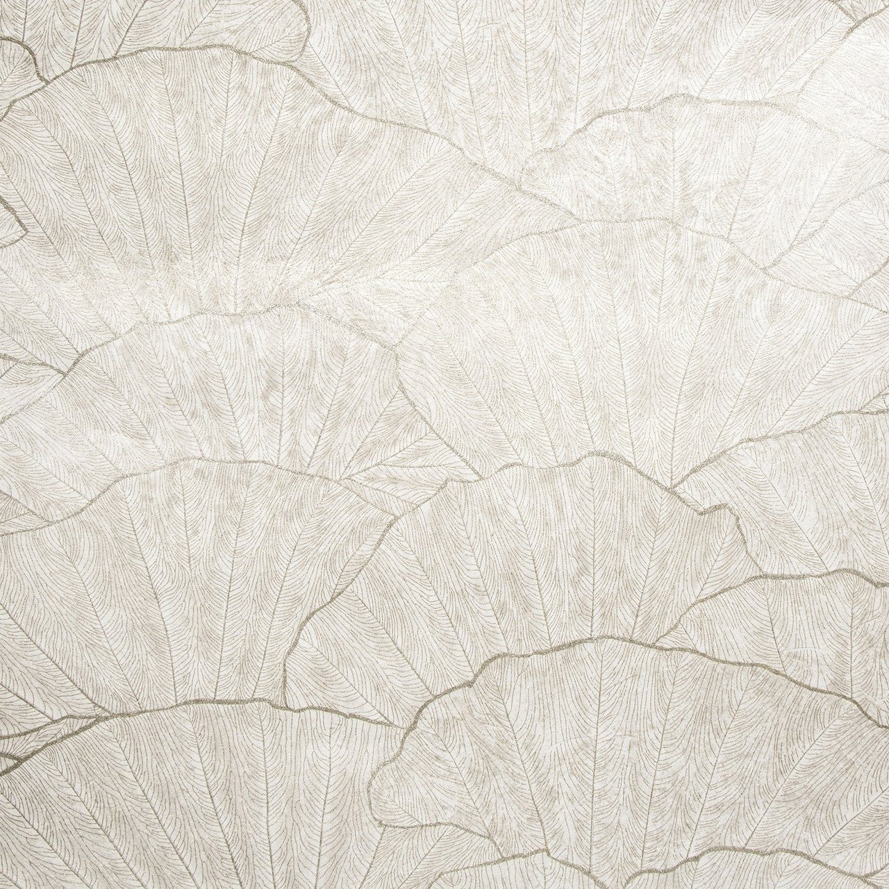 Seashell Feel Wallpaper - Old White - Hohenberger - 65004 - Premier Wallcovering