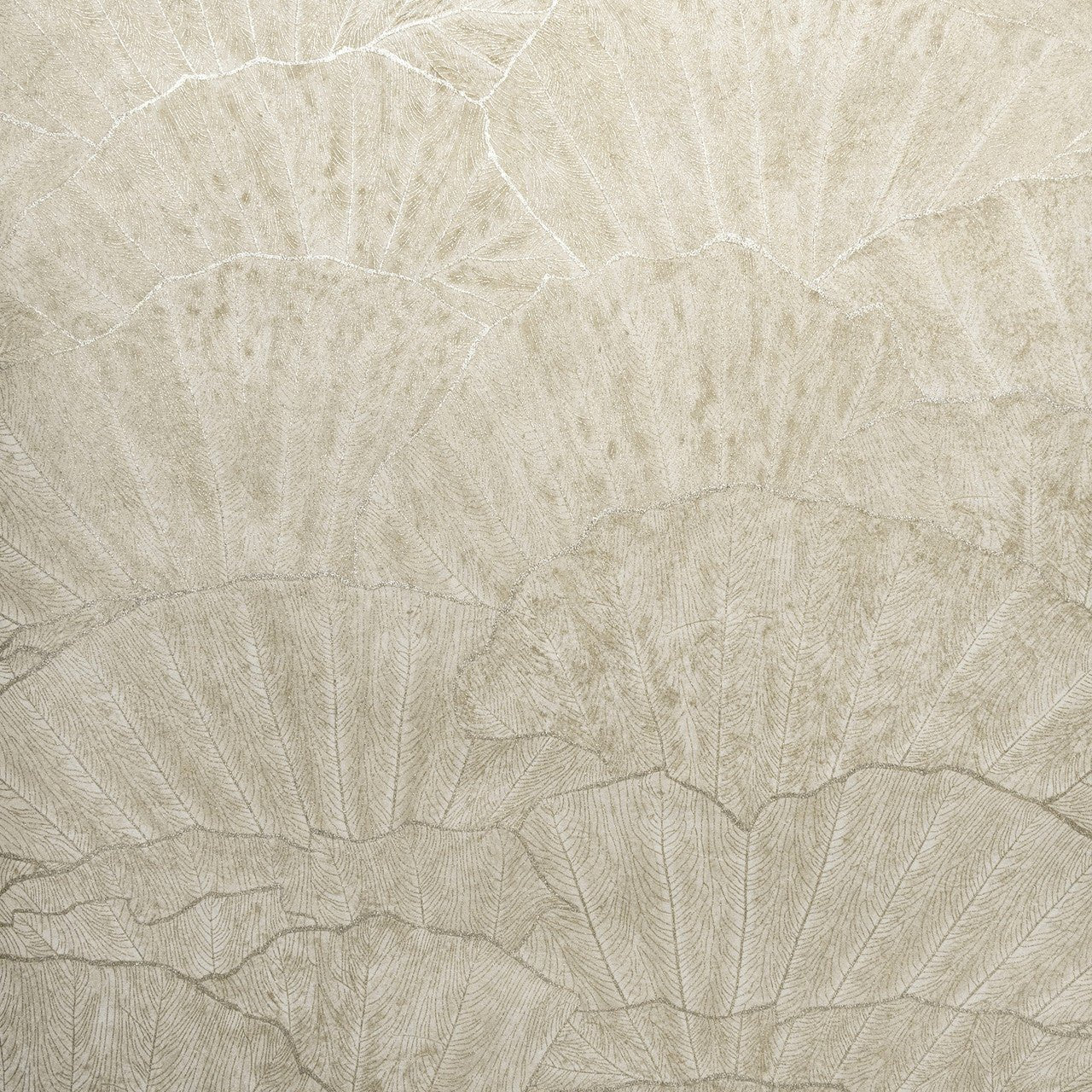 Seashell Feel Wallpaper - Beige - Hohenberger - 65003 - Premier Wallcovering