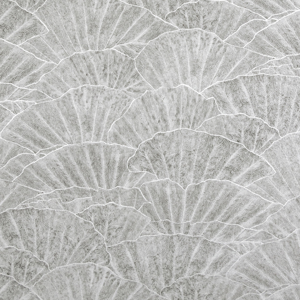 Seashell Feel Wallpaper - Cloudy Grey - Hohenberger - 65002 - Premier Wallcovering