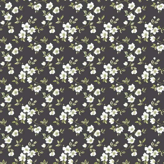 Secret Garden Anemone Mini Wallpaper - Black / Green / Taupe - Galerie - G78480 - Premier Wallcovering