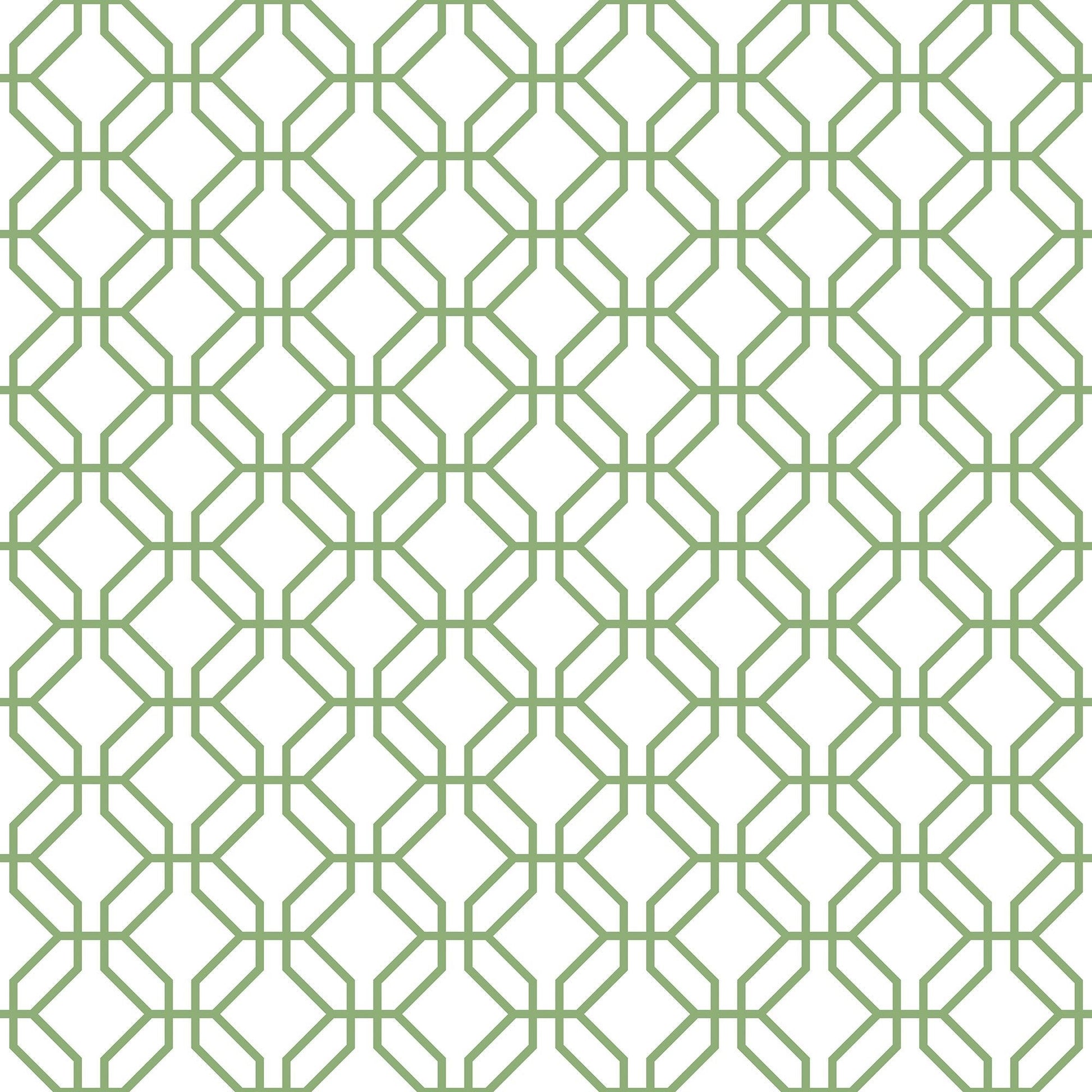 Secret Garden Trellis Negative Wallpaper - Fresh Green - Galerie - G78528 - Premier Wallcovering