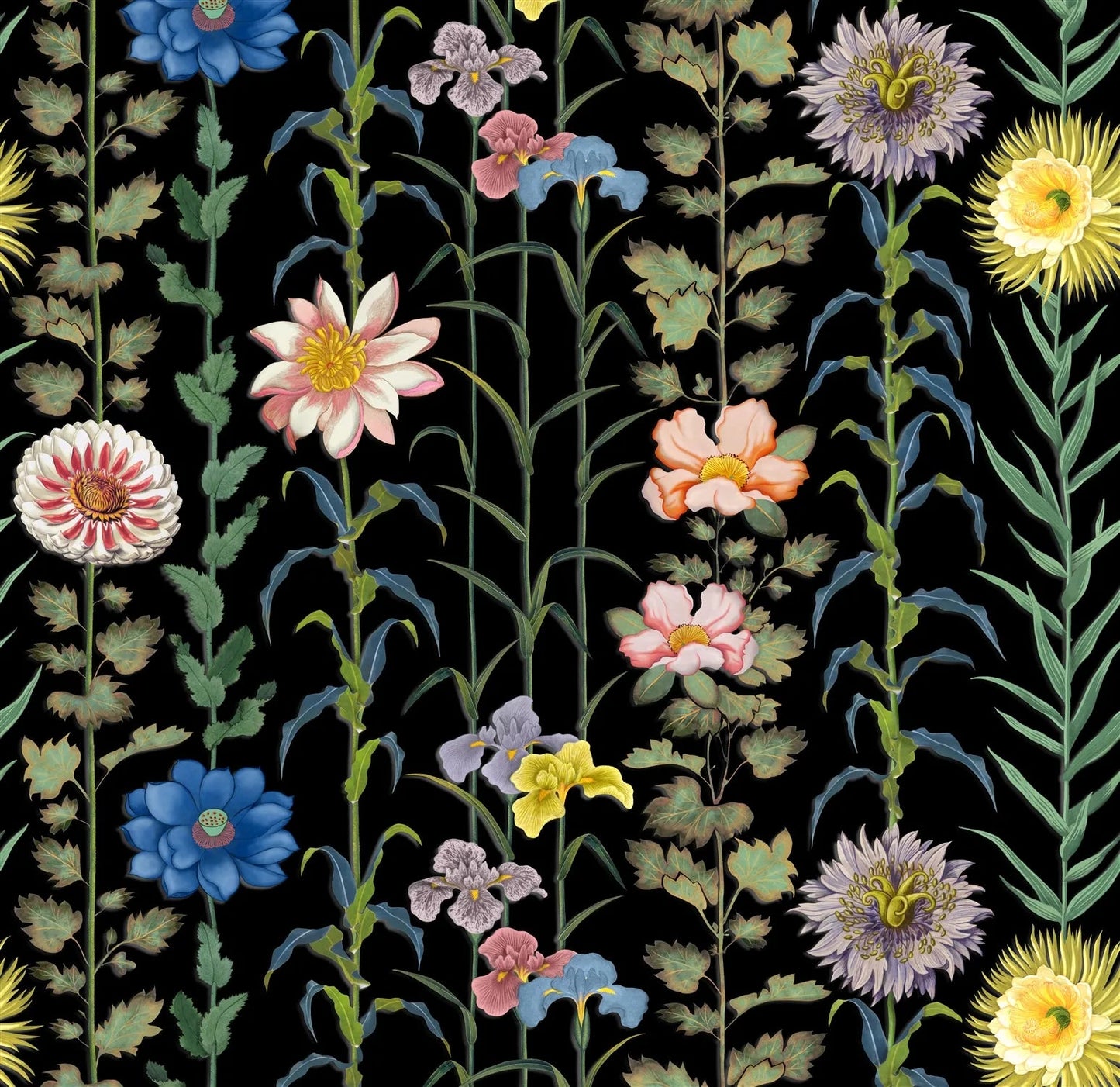 Selam Fabric - Jais - Christian Lacroix - FCL7065/02 - Premier Wallcovering