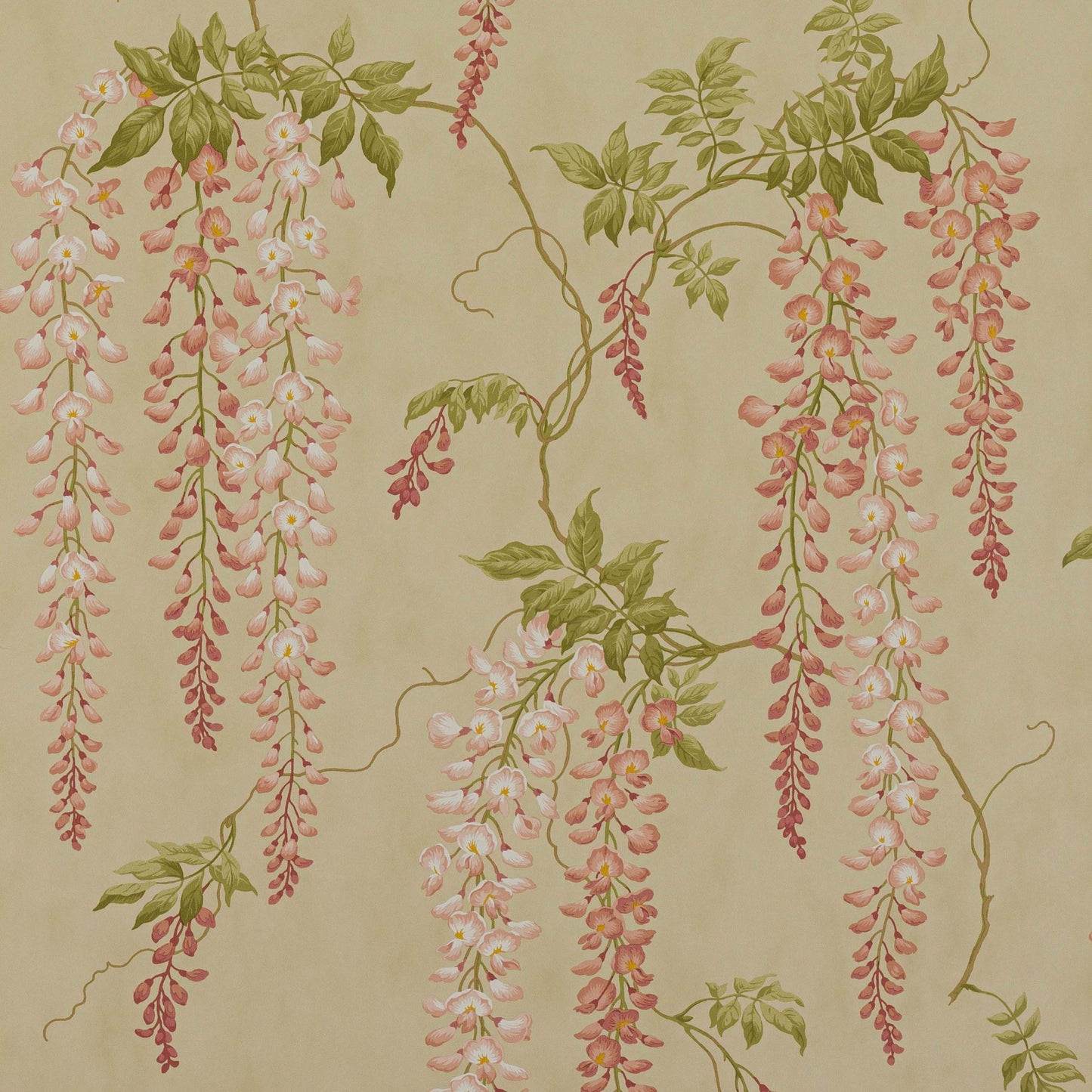 Seraphina Wallpaper - Pink - Colefax & Fowler - 07157/01 - Premier Wallcovering