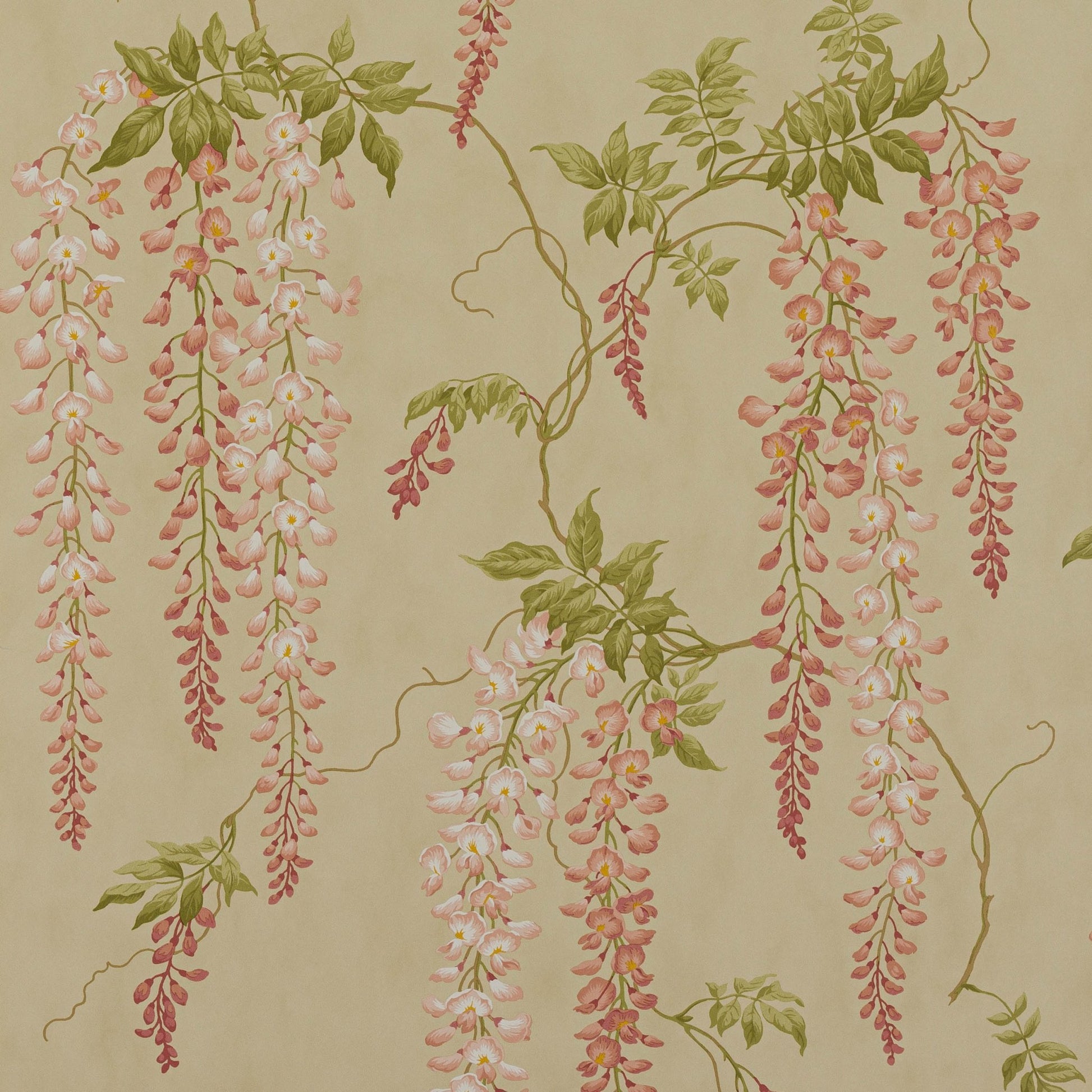 Seraphina Wallpaper - Pink - Colefax & Fowler - 07157/01 - Premier Wallcovering
