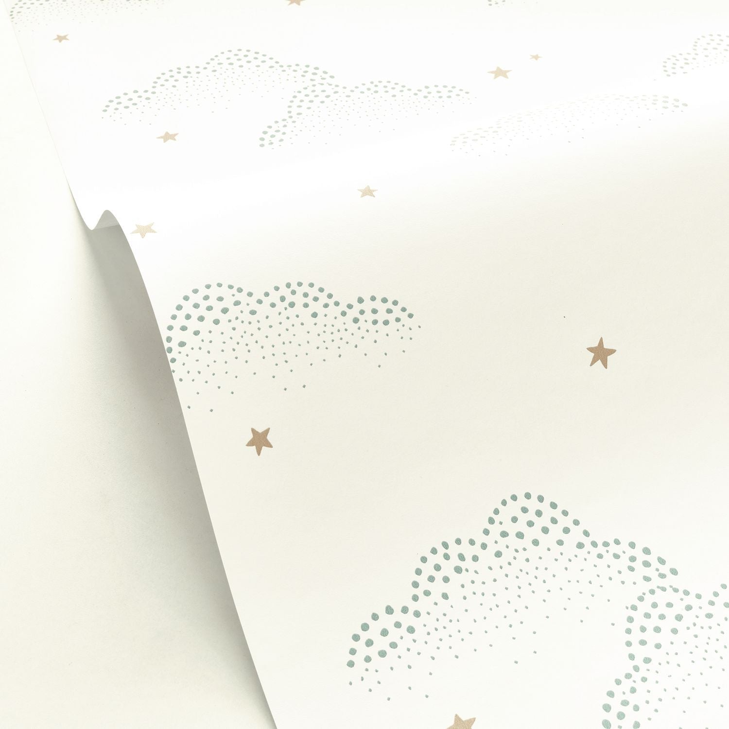 S'evader Wallpaper - Menthe - Caselio - 103487002 - Premier Wallcovering