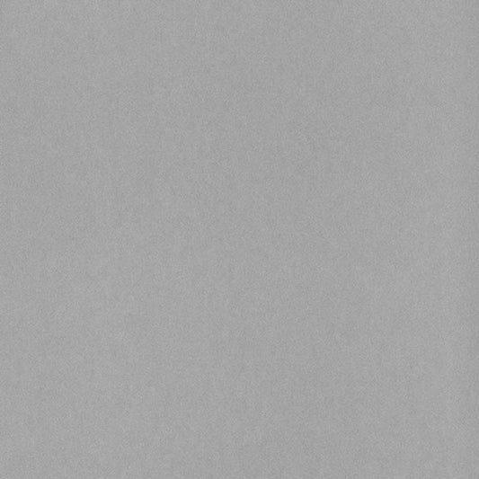 Shadow Uni 1930 Wallpaper - Gris And Argent Irise - Casadeco - 13219424 - Premier Wallcovering