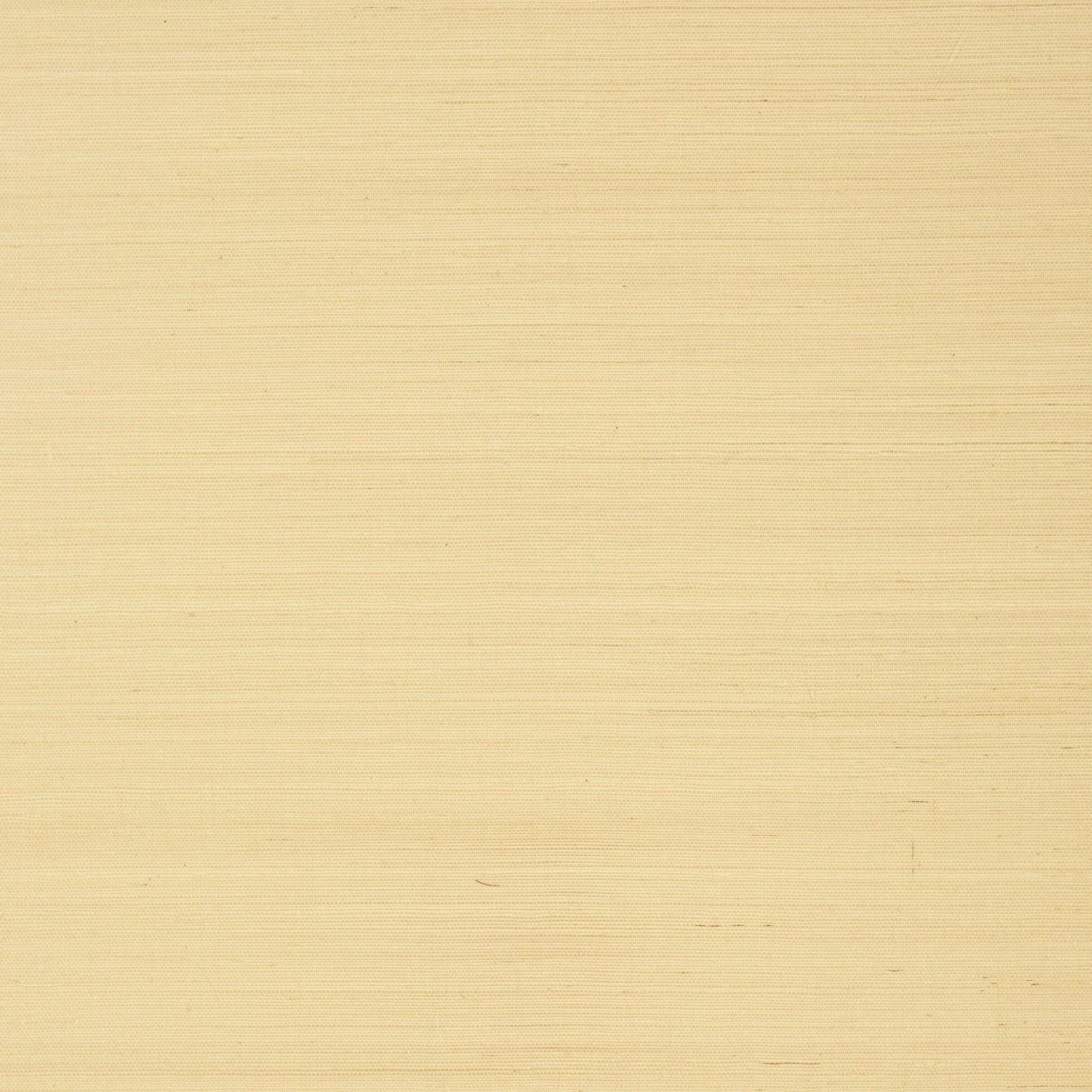 Shang Extra Fine Sisal Wallpaper - Vanilla - Thibaut - T5029 - Premier Wallcovering