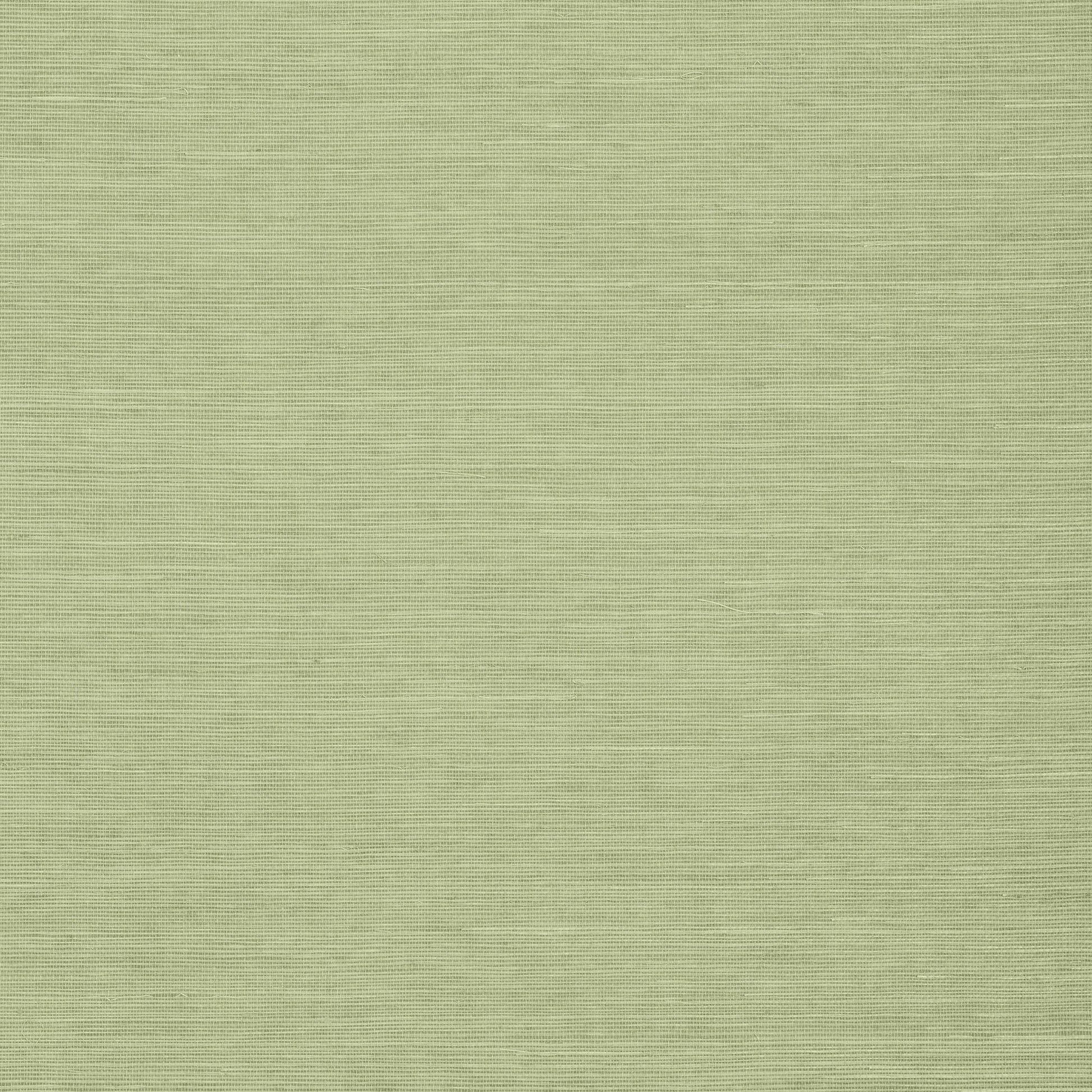 Shang Extra Fine Sisal Wallpaper - Willow - Thibaut - T5016 - Premier Wallcovering