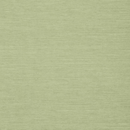 Shang Extra Fine Sisal Wallpaper - Willow - Thibaut - T5016 - Premier Wallcovering