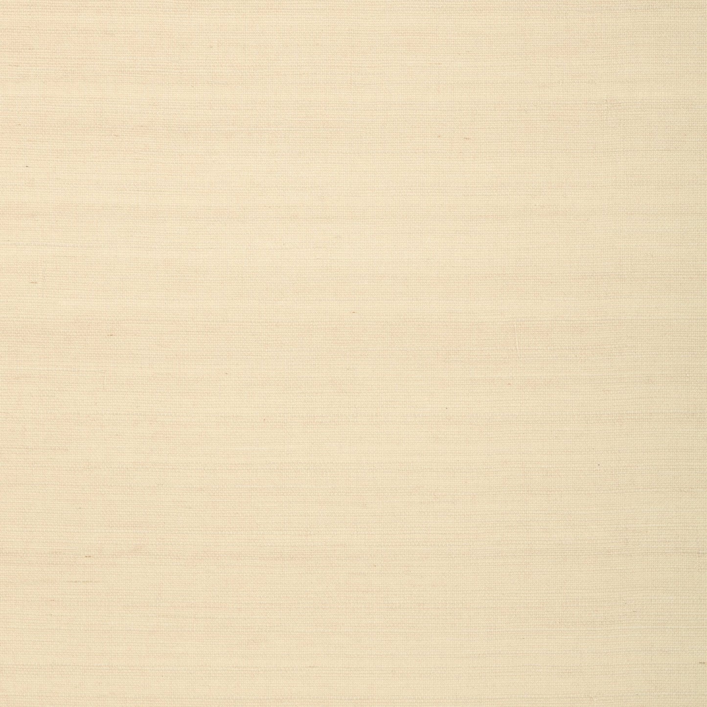Shang Extra Fine Sisal Wallpaper - Sand - Thibaut - T72837 - Premier Wallcovering