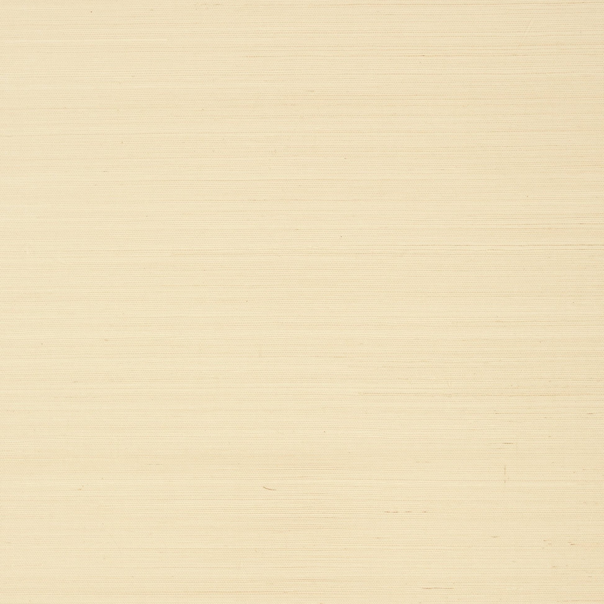 Shang Extra Fine Sisal Wallpaper - Beige - Thibaut - T41159 - Premier Wallcovering