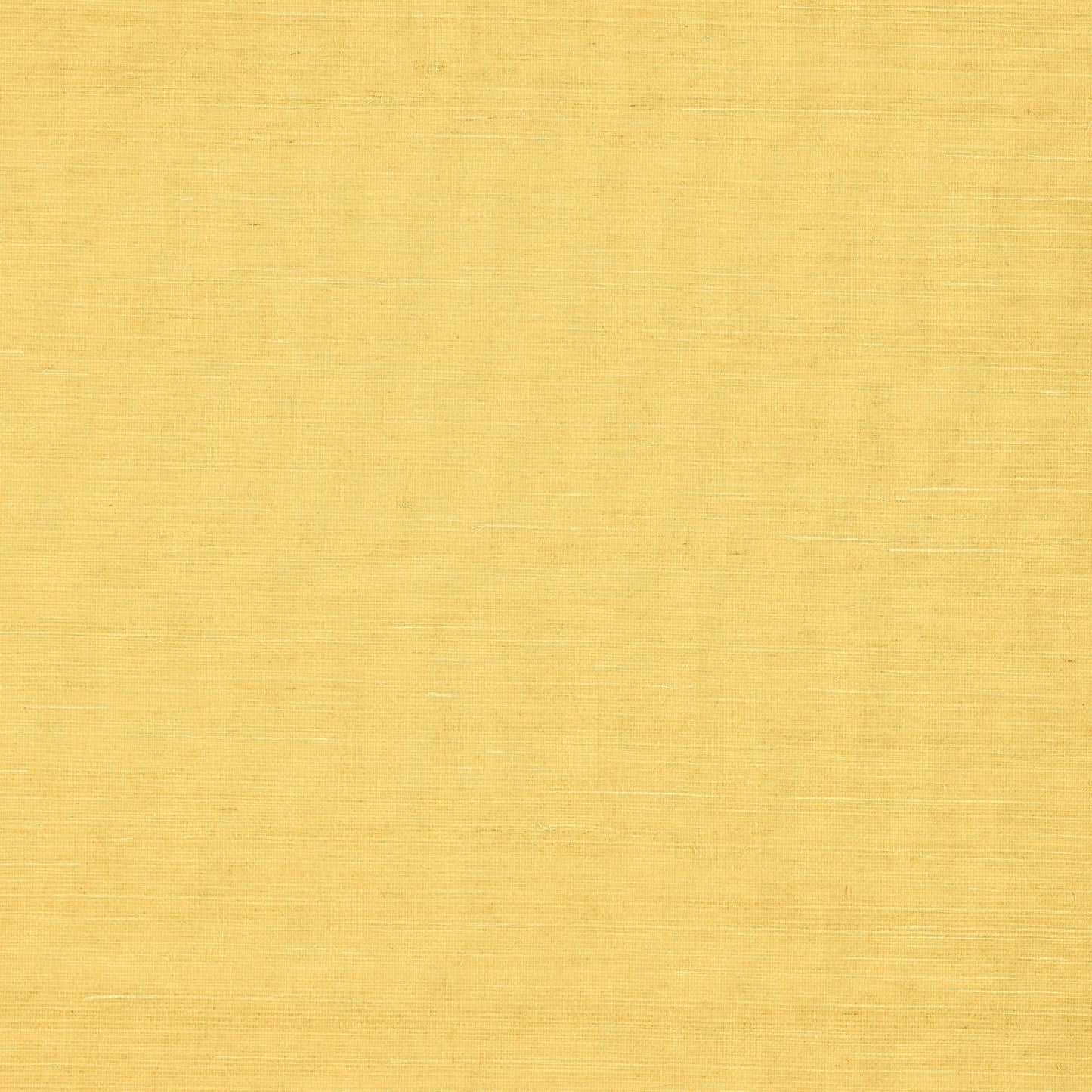Shang Extra Fine Sisal Wallpaper - Yellow - Thibaut - T5018 - Premier Wallcovering