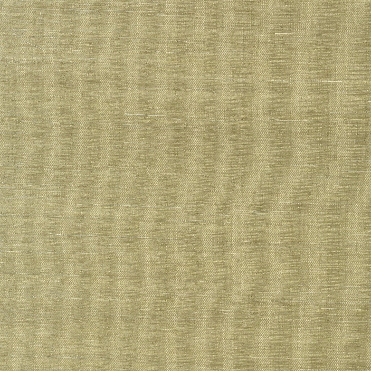 Shang Extra Fine Sisal Wallpaper - Moss - Thibaut - T41166 - Premier Wallcovering