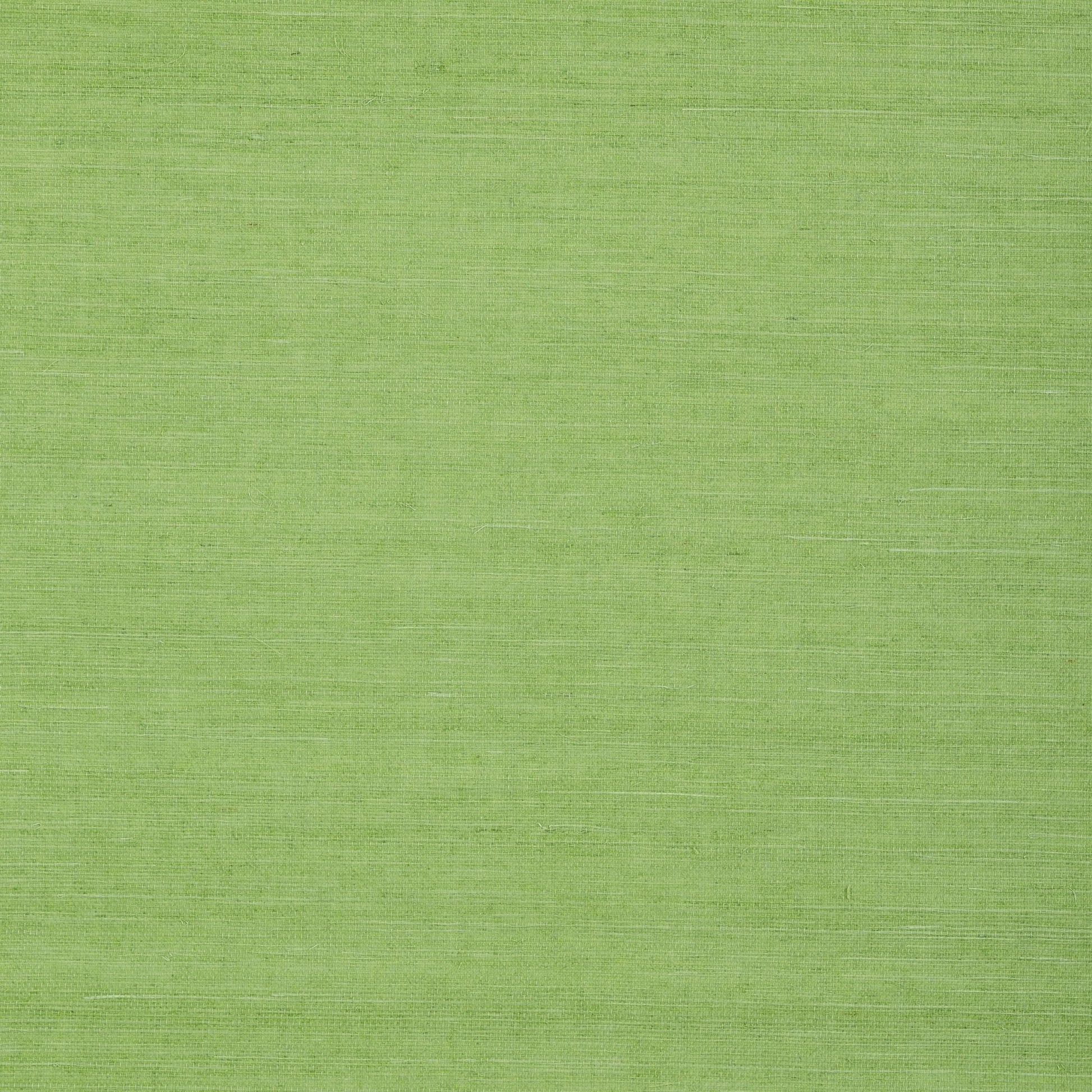 Shang Extra Fine Sisal Wallpaper - Kelly Green - Thibaut - T72832 - Premier Wallcovering