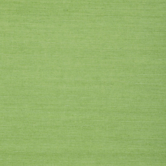 Shang Extra Fine Sisal Wallpaper - Kelly Green - Thibaut - T72832 - Premier Wallcovering