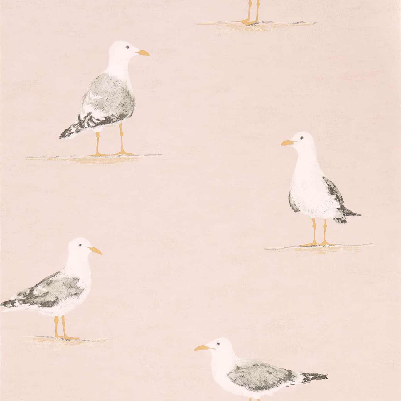Shore Birds Wallpaper - Blush - Sanderson - DCOA216562 - Premier Wallcovering