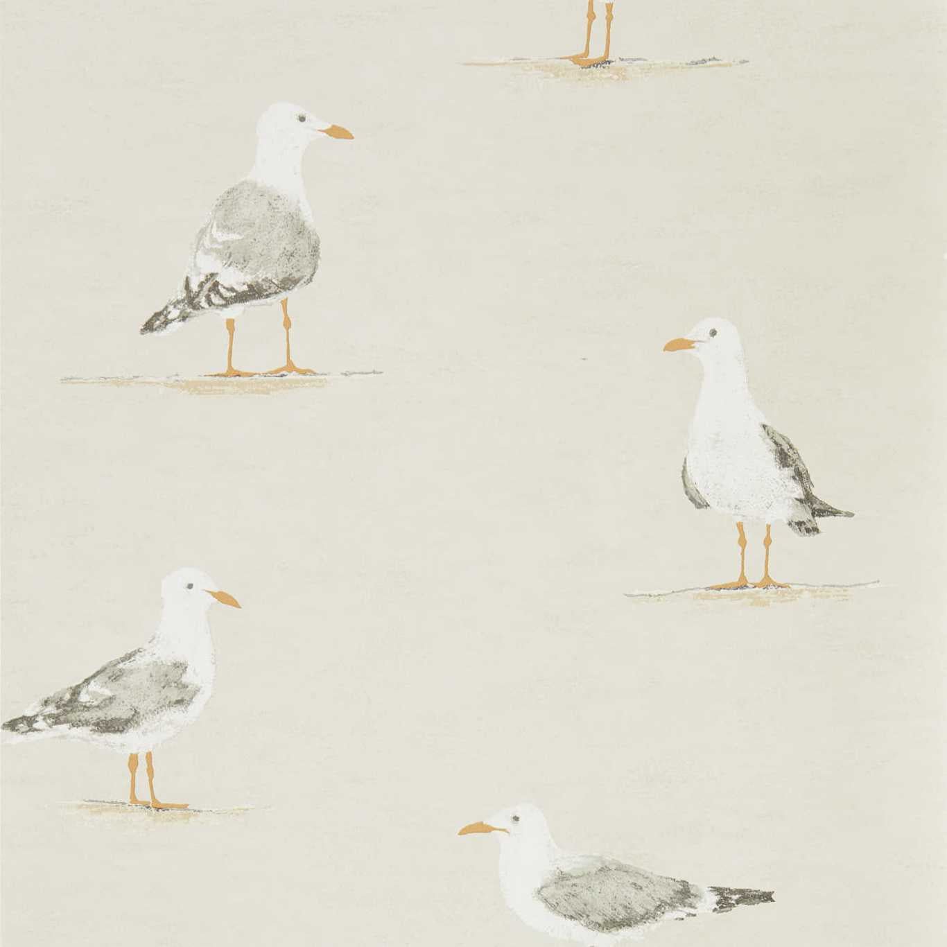 Shore Birds Wallpaper - Driftwood - Sanderson - DCOA216563 - Premier Wallcovering