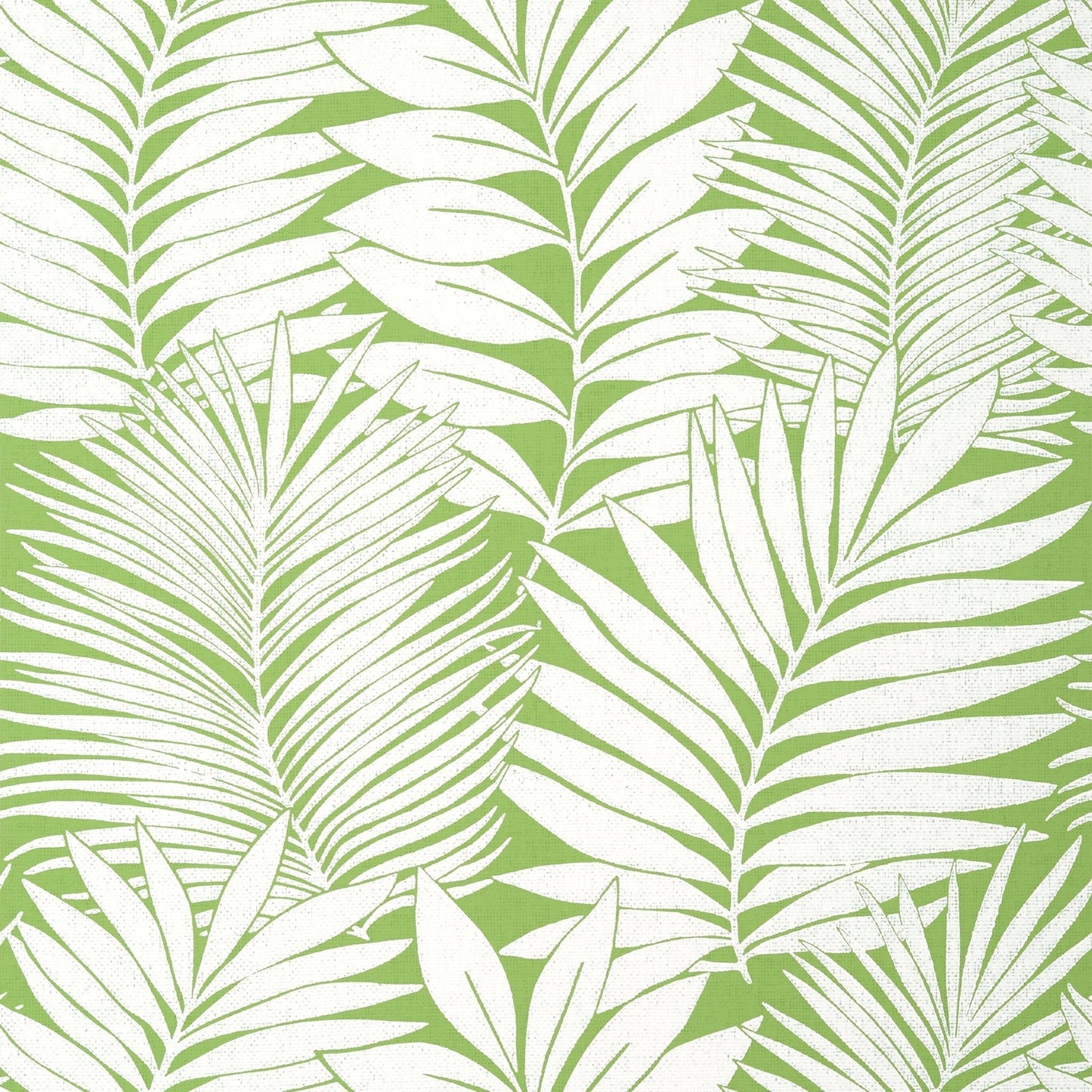 Siesta Key Wallpaper - Green - Thibaut - T13927 - Premier Wallcovering