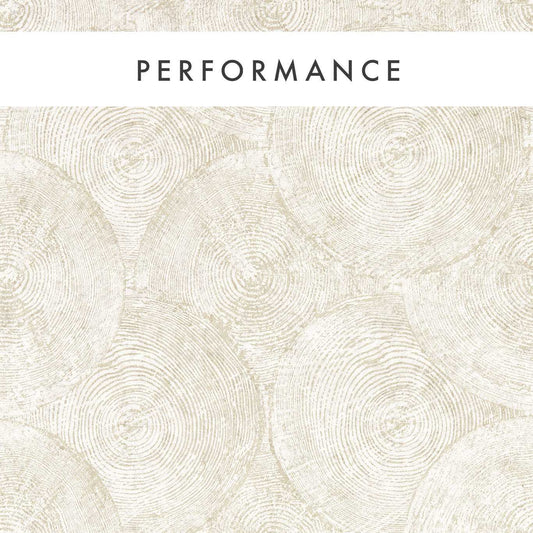 Silvan Wallpaper - Charcoal/Gilver - Clarke & Clarke - W0209/01 - Premier Wallcovering