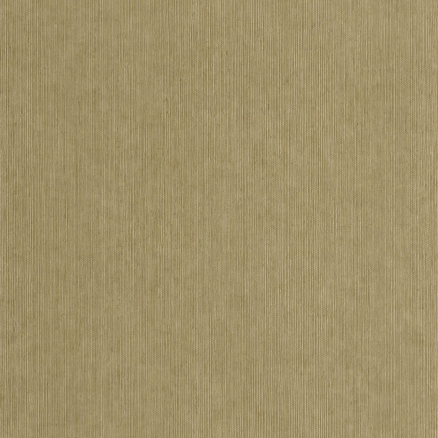 Sisal Wallpaper - Vert Kaki - Caselio - 106017145 - Premier Wallcovering