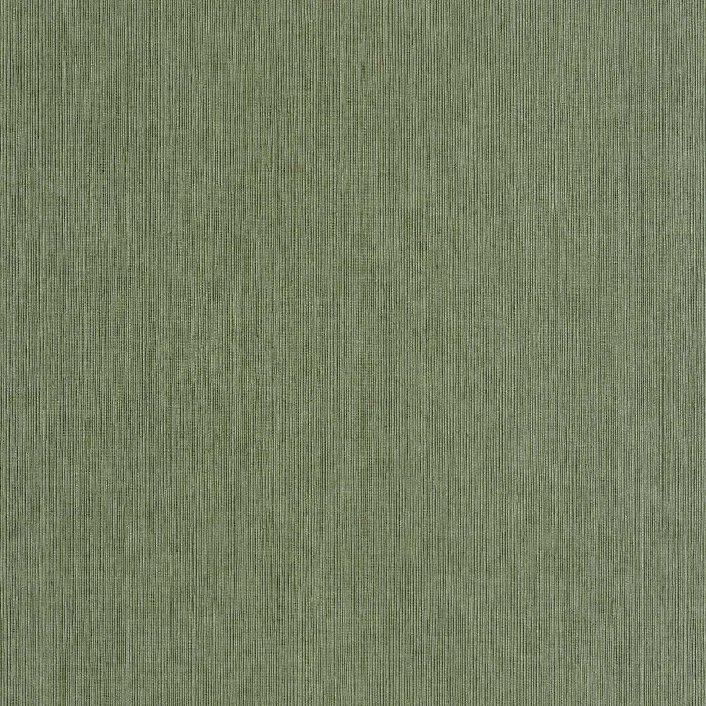 Sisal Wallpaper - Mousse - Caselio - 106017230 - Premier Wallcovering