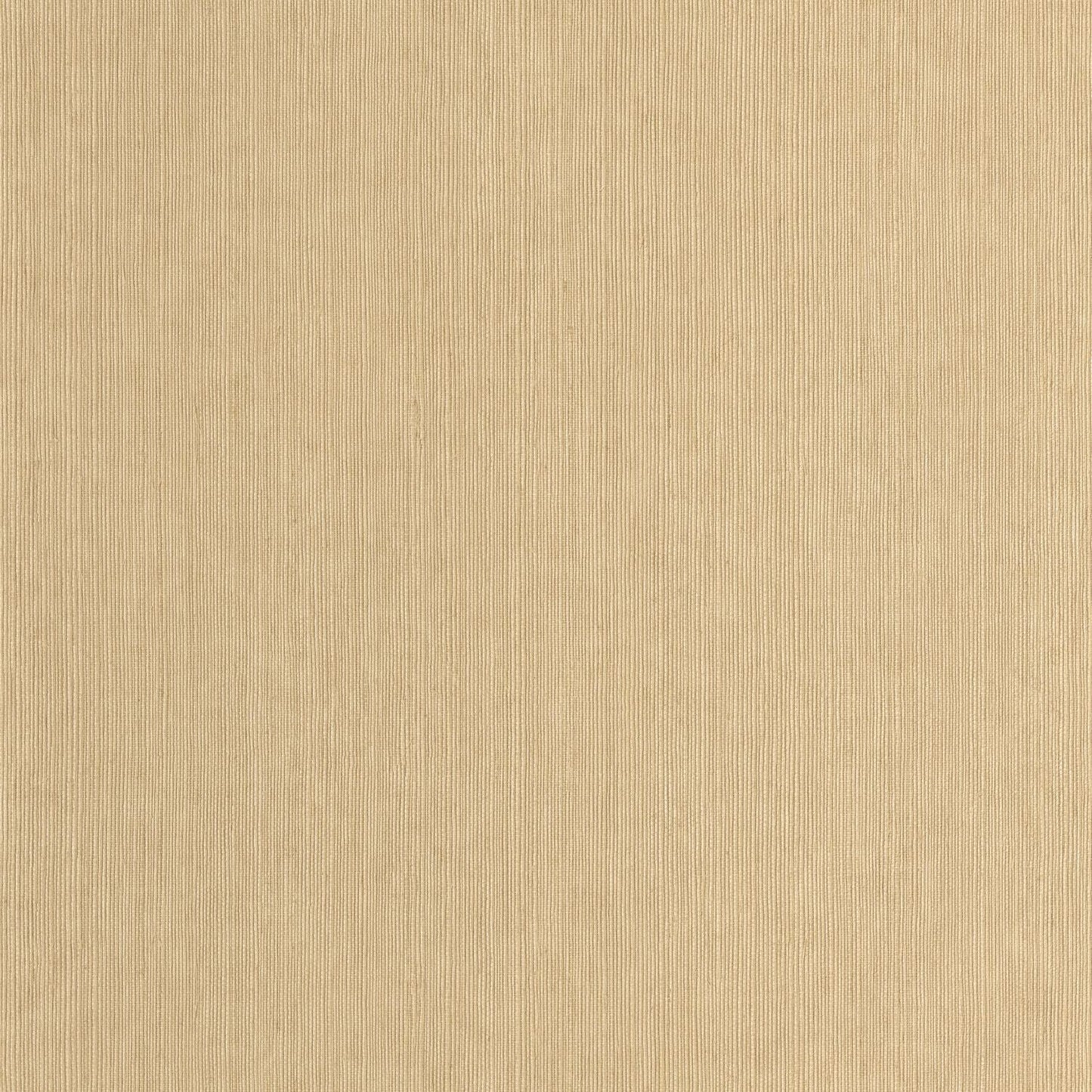 Sisal Wallpaper - Biscuit - Caselio - 106011370 - Premier Wallcovering