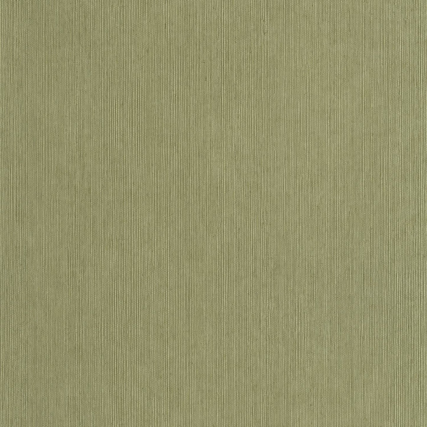 Sisal Wallpaper - Vert Kaki - Caselio - 106017450 - Premier Wallcovering